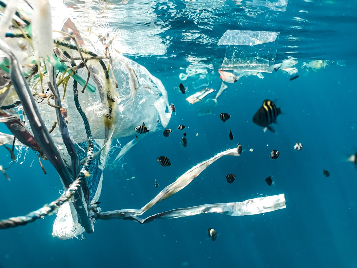 Aliran air yang tercemar sampah dan limbah